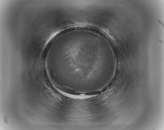 X0000094211208200710261204