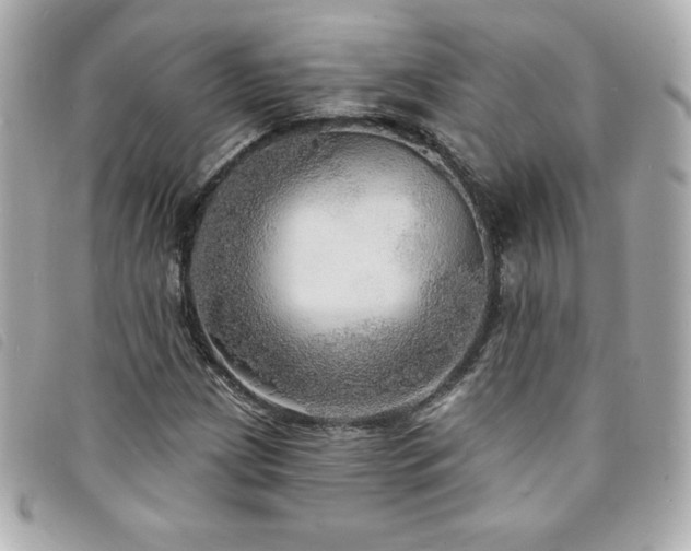 X0000094211209200710261204