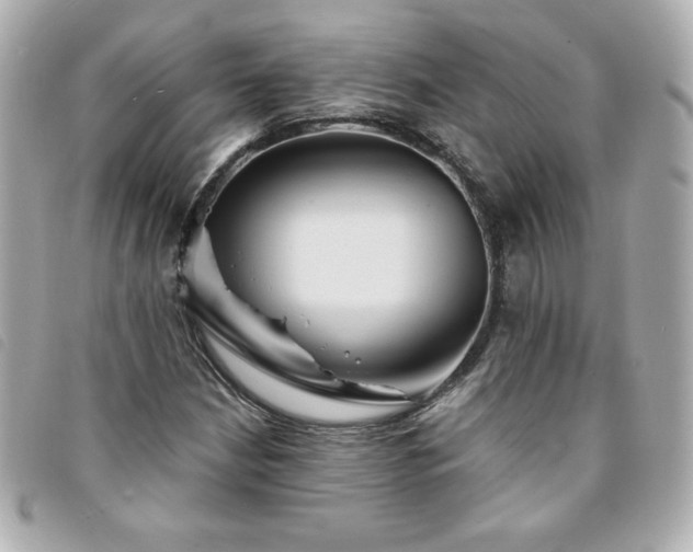 X0000094211210200710261204