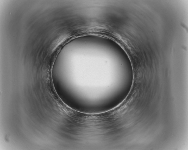 X0000094211211200710261204
