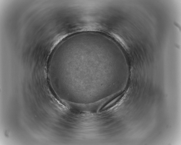 X0000094211212200710261204