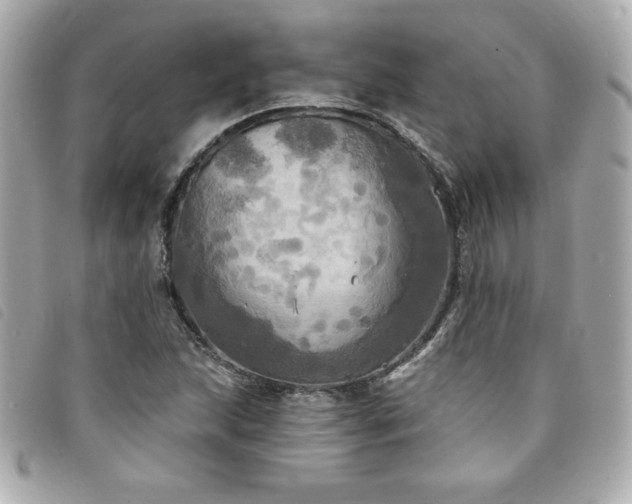 X0000094211215200710261204