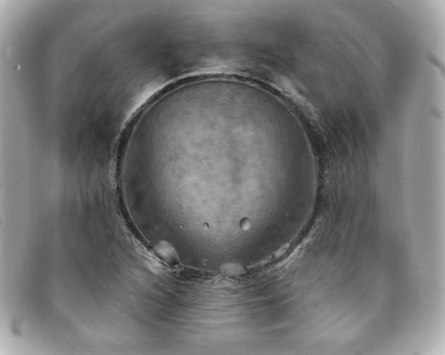 X0000094211216200710261204