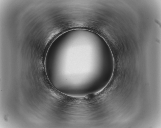 X0000094211218200710261204