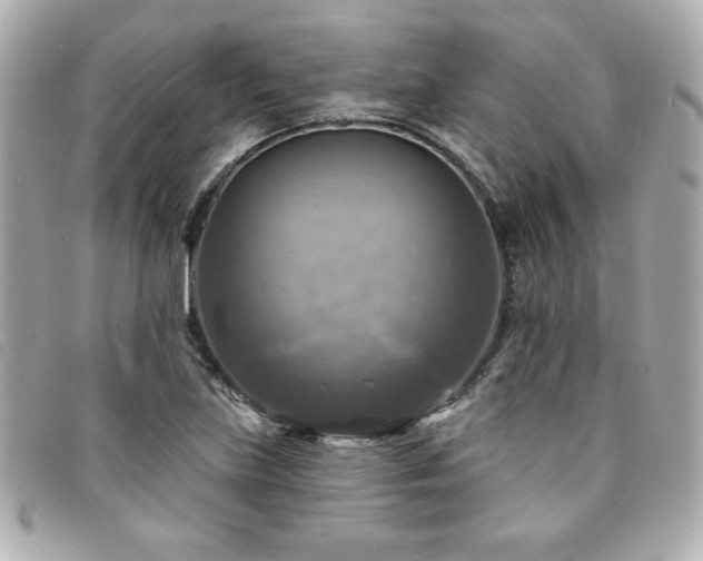 X0000094211219200710261204
