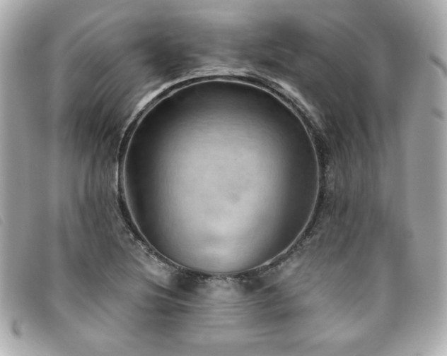 X0000094211220200710261204