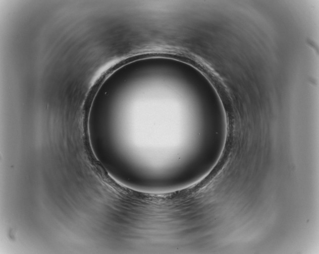 X0000094211222200710261204