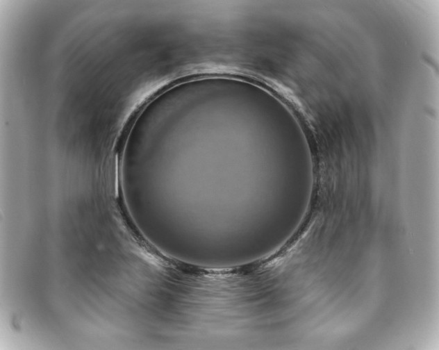 X0000094211223200710261204
