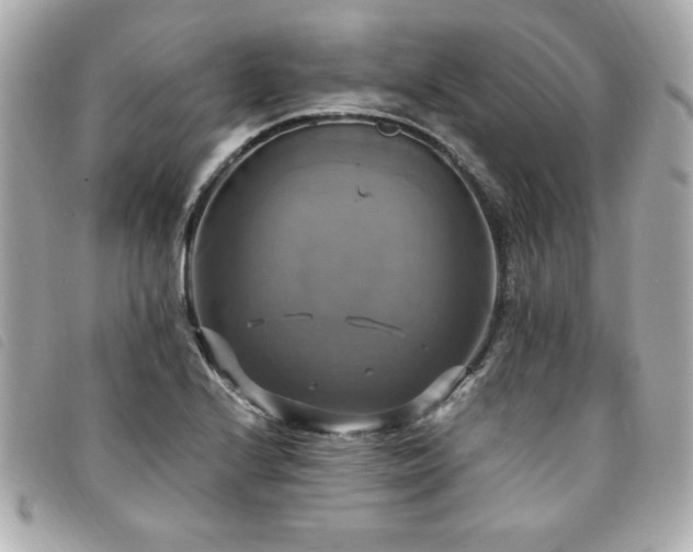 X0000094211224200710261204