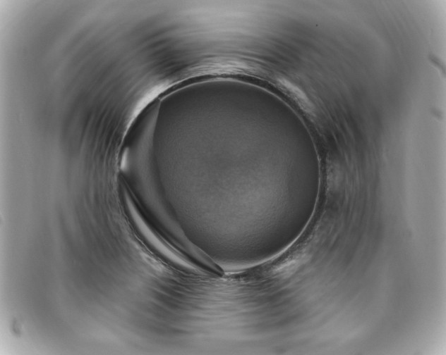 X0000094211226200710261204