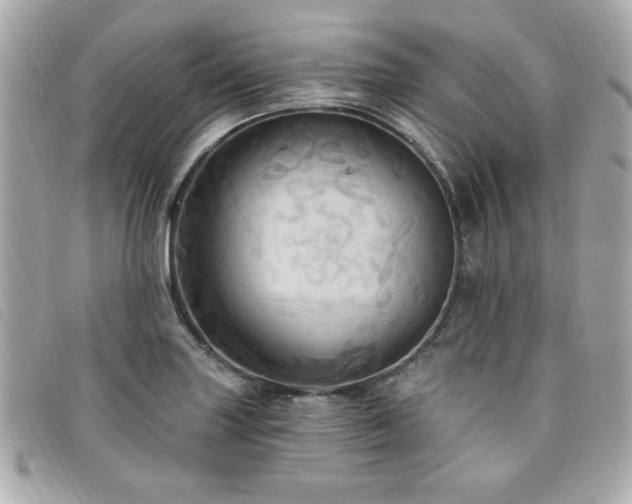 X0000094211227200710261204