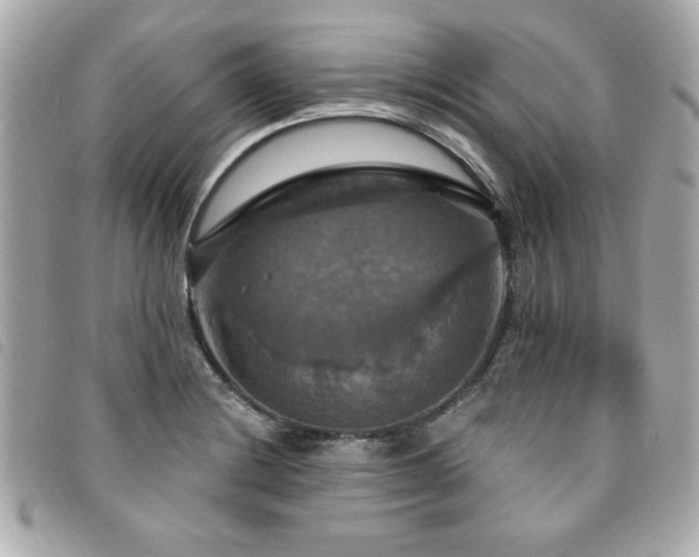 X0000094211228200710261204