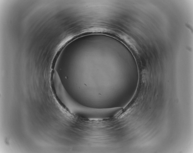 X0000094211229200710261204