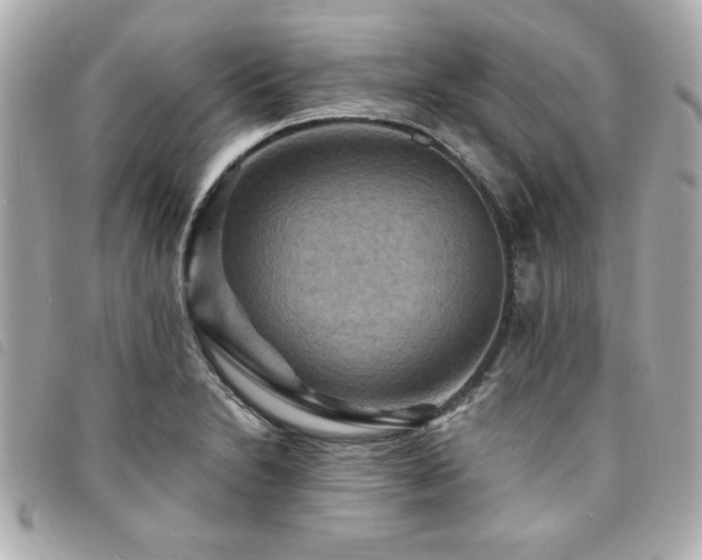 X0000094211230200710261204