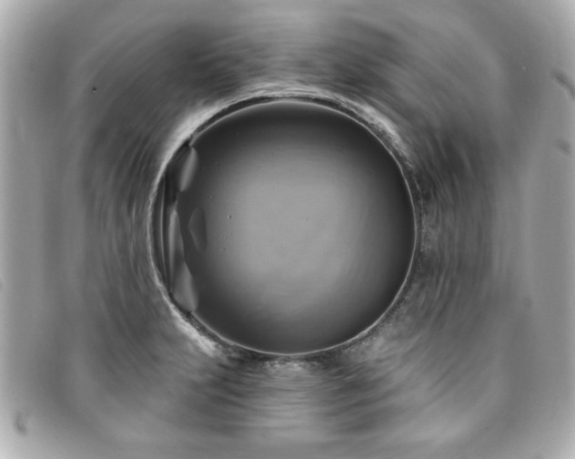 X0000094211231200710261204