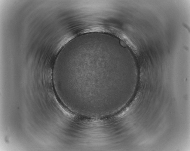X0000094211233200710261204