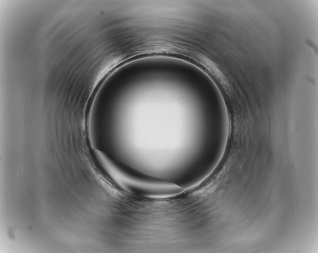 X0000094211234200710261204