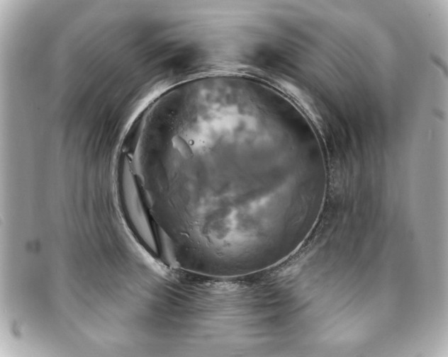 X0000094211235200710261204