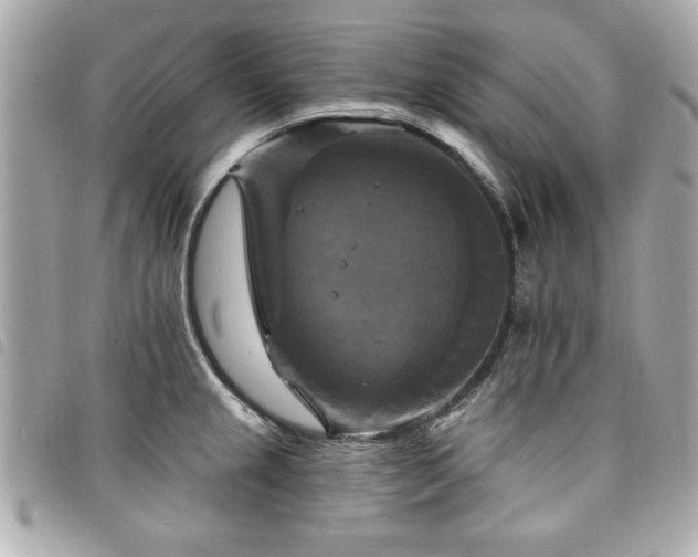 X0000094211237200710261204