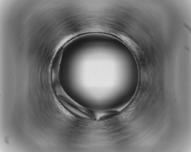 X0000094211238200710261204