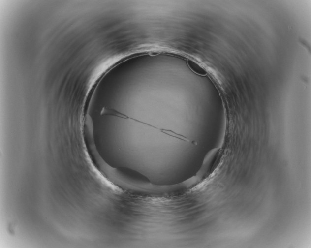 X0000094211239200710261204