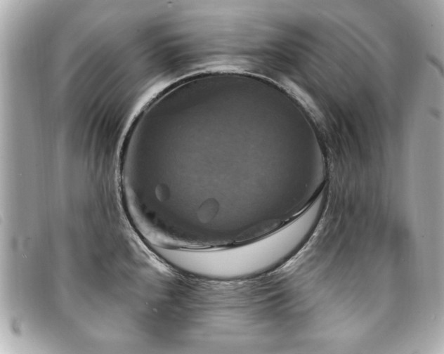 X0000094211240200710261204