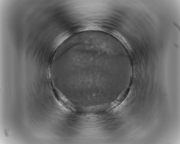 X0000094211241200710261204