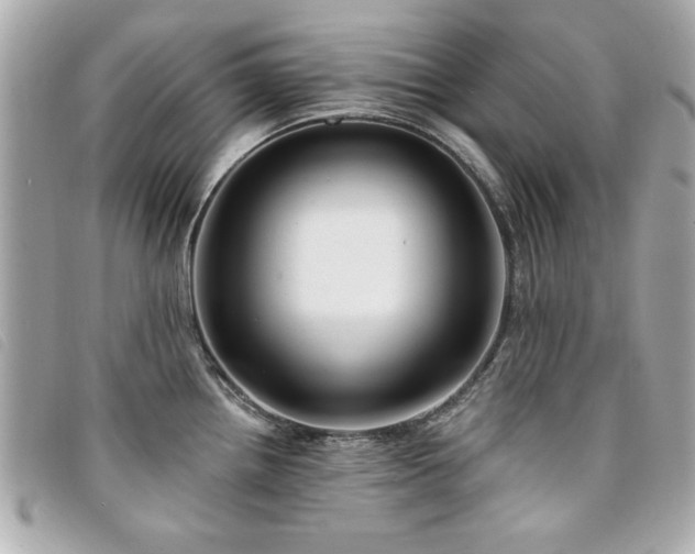 X0000094211242200710261204