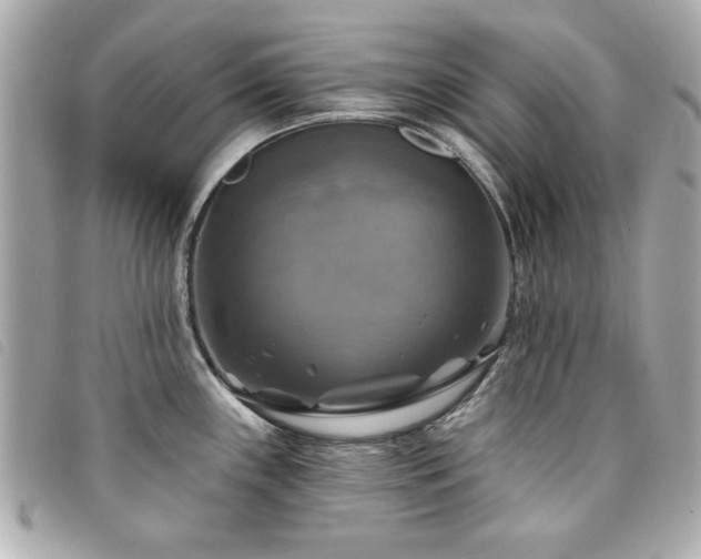 X0000094211243200710261204