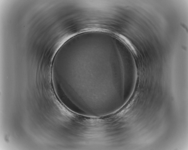 X0000094211244200710261204