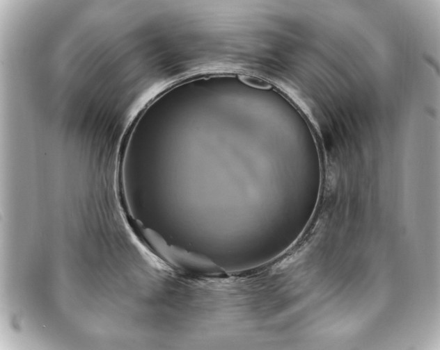 X0000094211245200710261204
