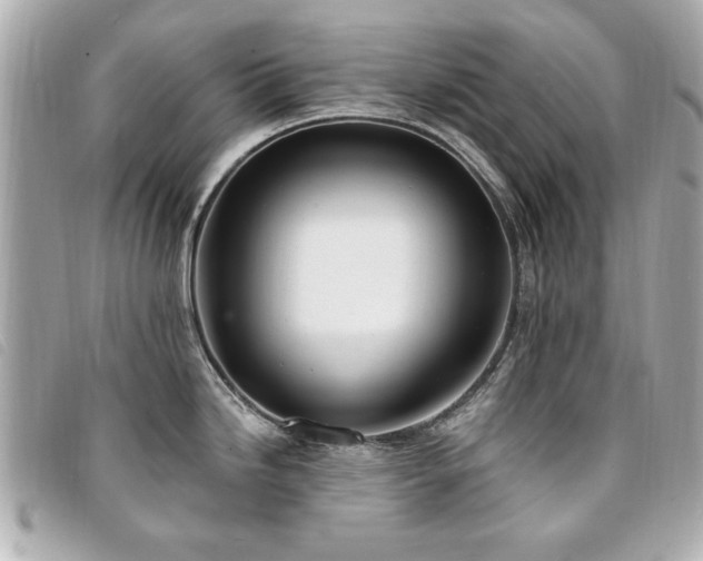 X0000094211246200710261204