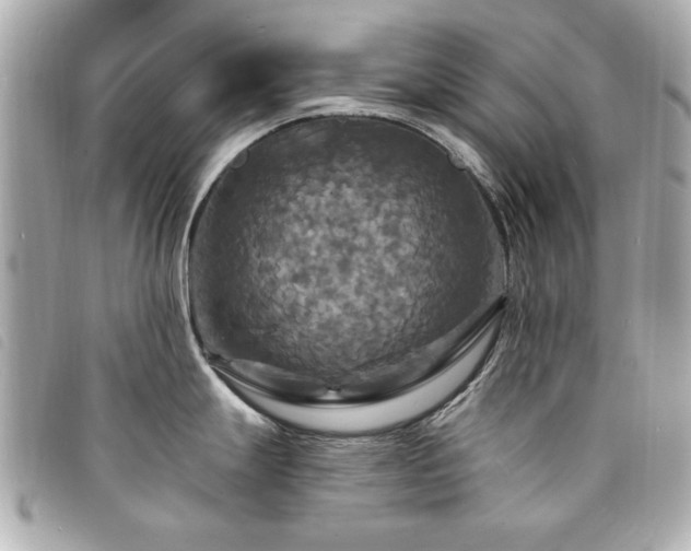 X0000094211247200710261204