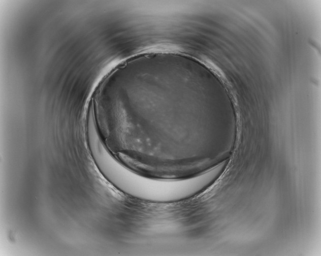X0000094211248200710261204