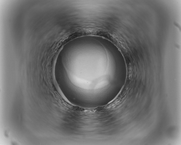 X0000094211249200710261204