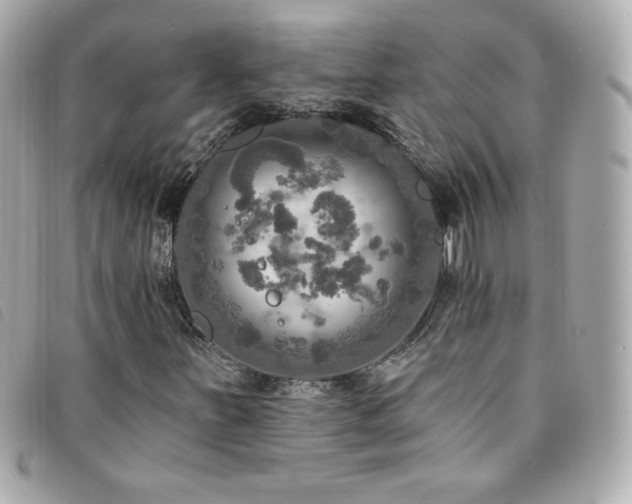 X0000094211251200710261204