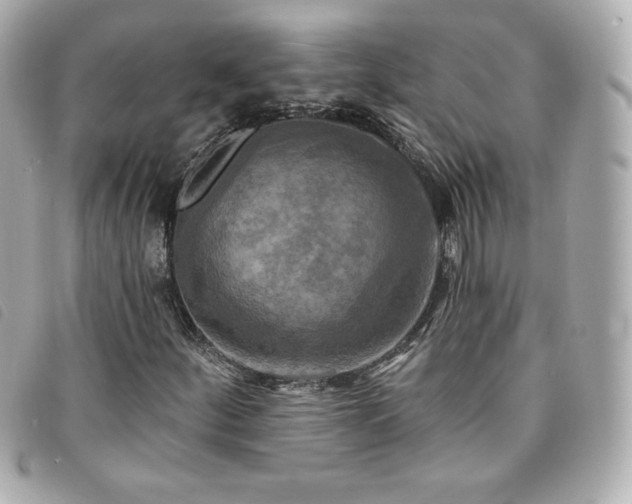 X0000094211252200710261204