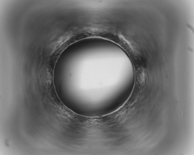 X0000094211253200710261204