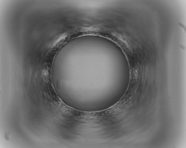 X0000094211254200710261204