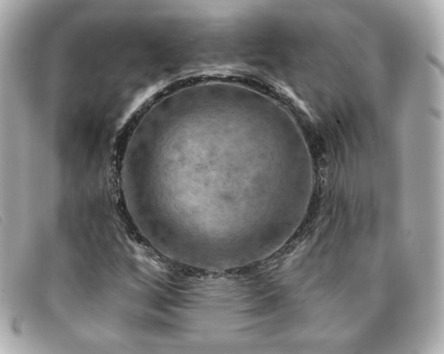 X0000094211256200710261204