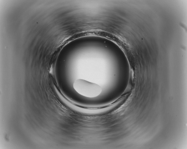 X0000094211257200710261203