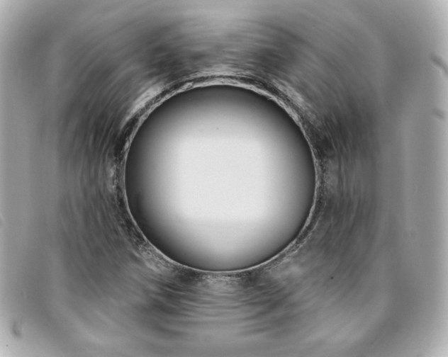 X0000094211258200710261203