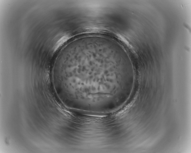 X0000094211259200710261203