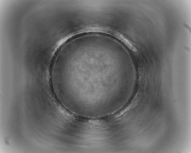 X0000094211264200710261203
