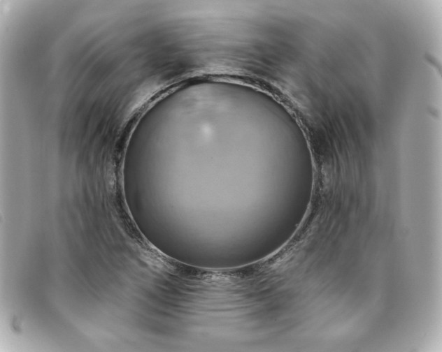 X0000094211266200710261203
