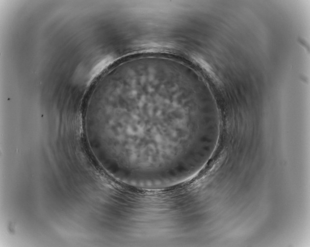 X0000094211267200710261203