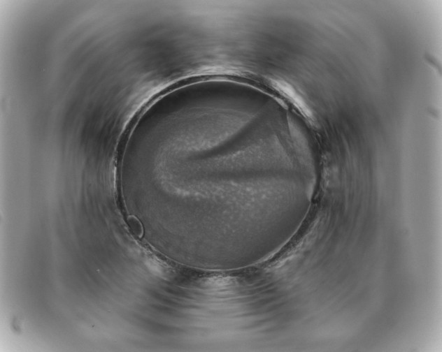 X0000094211268200710261203