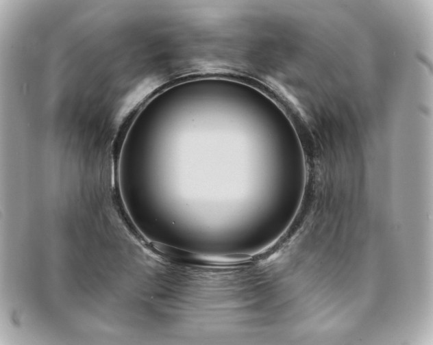 X0000094211269200710261203