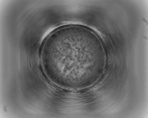 X0000094211271200710261203