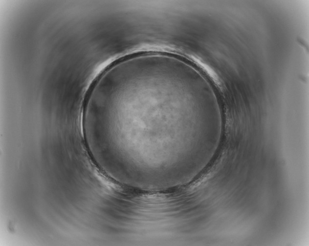 X0000094211272200710261203